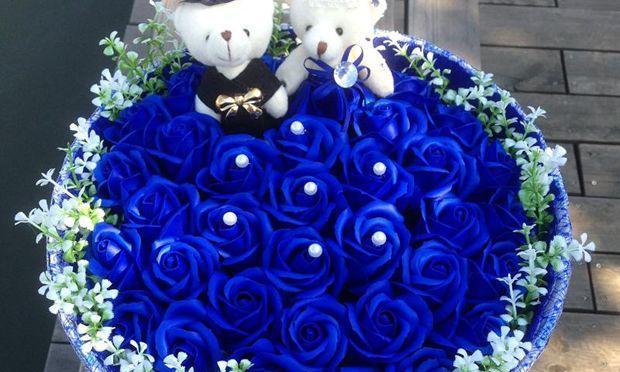蓝色玫瑰花的含义（解读蓝色玫瑰花传递的情感与意义）