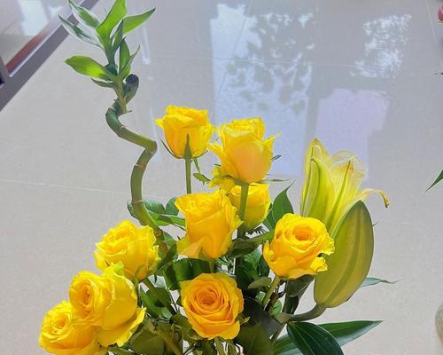 黄玫瑰花的象征意义（探究黄玫瑰花代表的情感与含义）