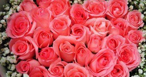 玫瑰朵数的意义与传承（一朵、十朵、一百朵……背后的文化符号）