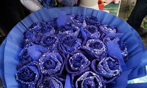 蓝玫瑰的含义及象征意义（传递的信息，美丽的外表和神秘的特性）