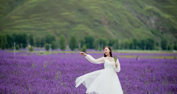 薰衣草的花语和象征（探究薰衣草代表的意义与作用）