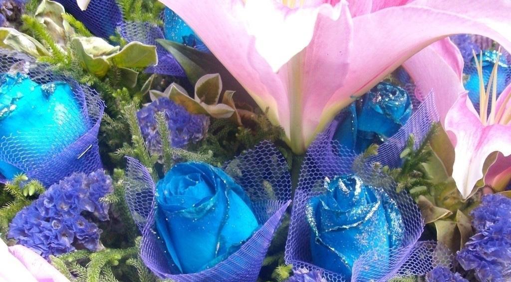 蓝玫瑰花语与传说（传说中的神秘花，蓝色的意义）