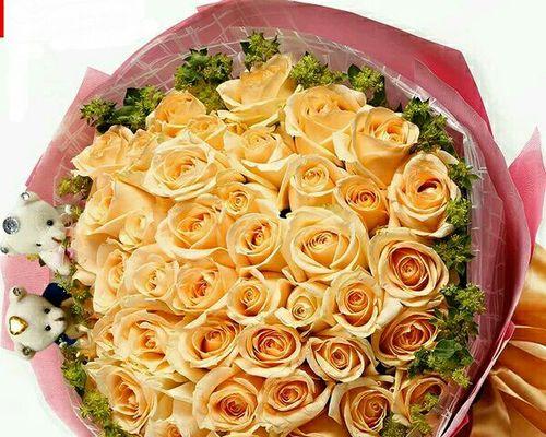 33朵香槟玫瑰的花语（探究香槟玫瑰所代表的爱情、浪漫和祝福）
