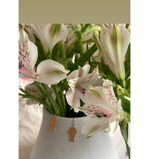 水百合的花语与含义（揭秘花语，让水百合带给你更多的意义）
