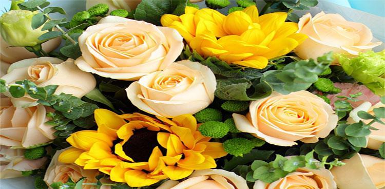 黄玫瑰的花语（探寻黄玫瑰的美丽与意义）