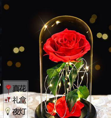 永生花的花语与寓意（了解这些花语，让永生花更有意义）
