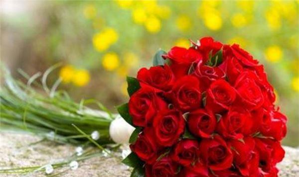 解密玫瑰花所代表的含义（从爱情到祝福，一朵花的多重意义）
