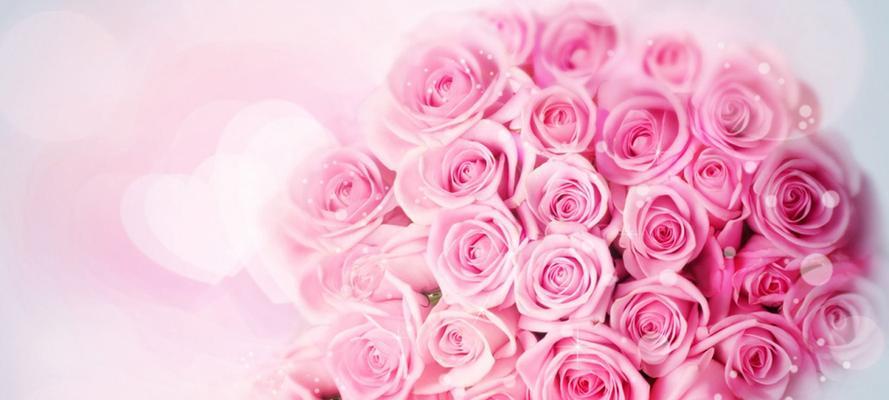 浪漫之花——粉色玫瑰的含义（爱情、感谢、尊敬——粉色玫瑰的涵义）