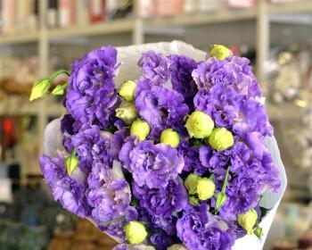 紫色桔梗的花语与寓意（深邃秀丽的紫色，传递着何种含义？）