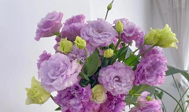 紫色桔梗的花语与寓意（深邃秀丽的紫色，传递着何种含义？）