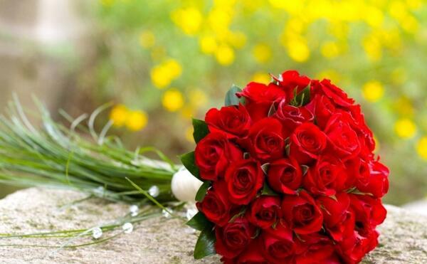 送几朵玫瑰花代表什么？解密花语含义！（一朵、三朵、十二朵，不同数量玫瑰花传递的情感含义。）