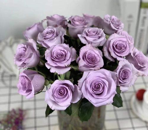 紫玫瑰花语及其美丽寓意（神秘、高贵、浪漫——紫玫瑰的不一样）