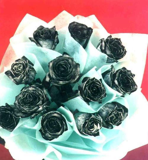 黑玫瑰花语之谁是最佳送花对象（探究黑玫瑰花语的多重含义，解析适合送给谁）