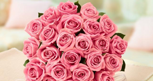 传递爱的语言——11朵红玫瑰花语意义剖析（爱情、承诺、浪漫——11朵红玫瑰花语的真正含义）