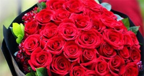 红色玫瑰的花语（传递爱情与热情的玫瑰）