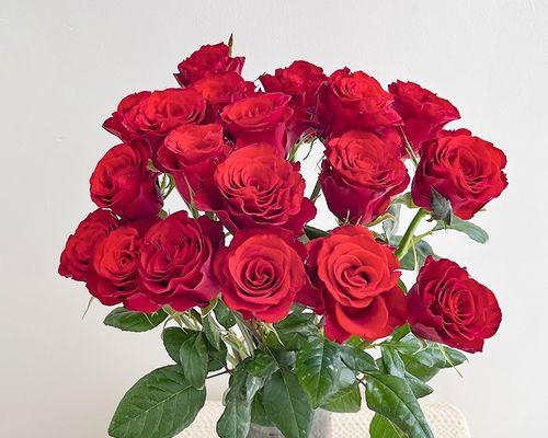 解读10朵玫瑰花的深刻含义（浪漫的告白、真挚的情感，这10朵花传达了什么？）