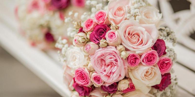 粉色的玫瑰花代表着的含义（浪漫、爱情和友谊）