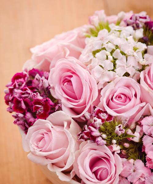 粉色的玫瑰花代表着的含义（浪漫、爱情和友谊）