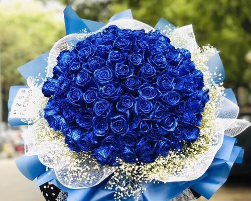 蓝色玫瑰代表什么意思？（探究蓝色玫瑰的象征意义及文化背景）