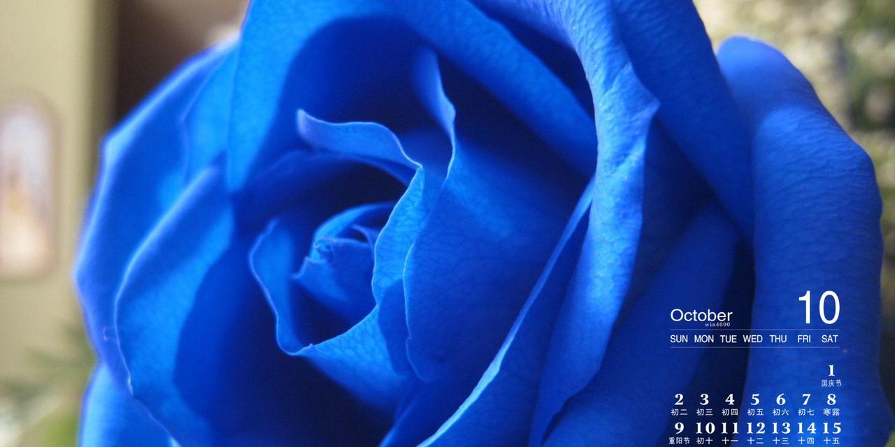 蓝色玫瑰花语——深情的告白（探寻蓝色玫瑰花所代表的情感与意义）