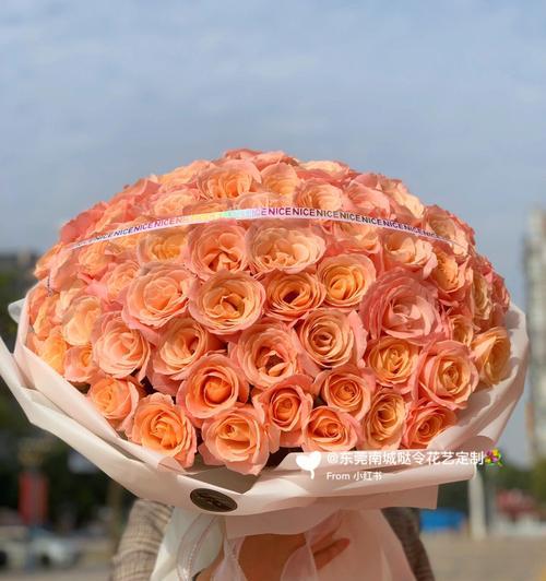 99朵粉色玫瑰花的寓意（玫瑰花代表的爱情与感情）