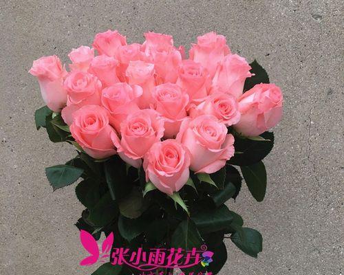 戴安娜玫瑰的美丽与意义（探寻这朵美丽花的花语与文化象征）