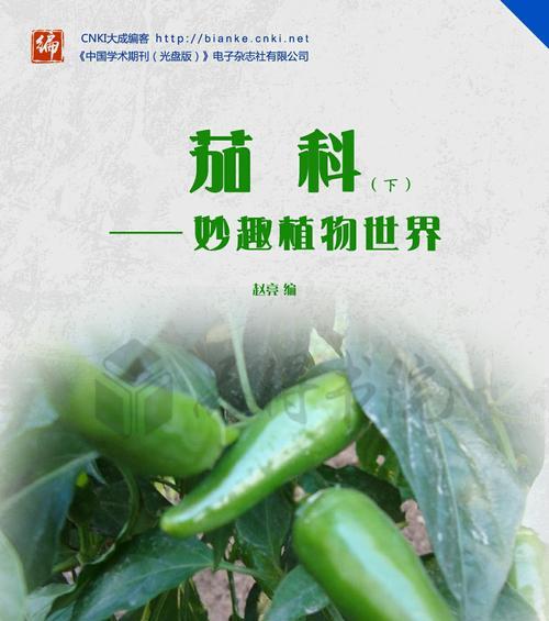 茄科植物的特征（探究茄科植物的独特特点与分类）