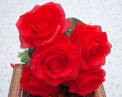 五朵玫瑰花的意义（表达爱情、感恩友情、追求自由、尊重忠诚）