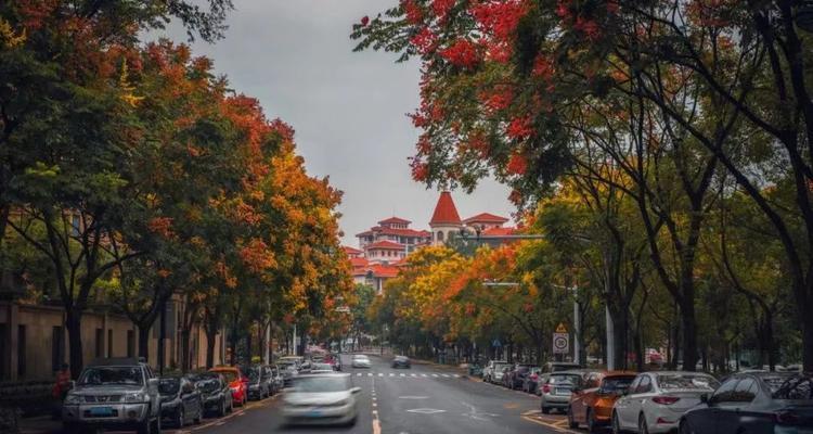 栾树的象征意义（解读栾树在文化中的独特身份）