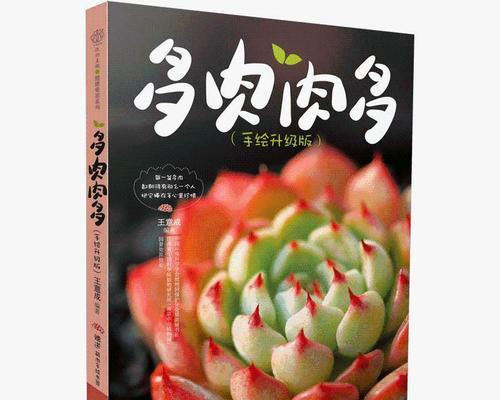 多肉种植教程——图片详解（打造属于自己的多肉花园，分享多肉爱好者的心得）