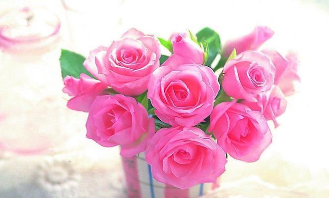 19朵粉玫瑰的花语（浪漫、热情、真爱的象征）