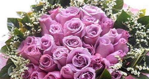 探秘紫玫瑰的花语（揭开紫玫瑰的隐秘花语意义，领悟其中蕴含的深意）