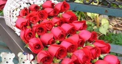 浪漫的玫瑰——花语与象征（揭开玫瑰的神秘面纱，探寻花语与象征背后的世界。）