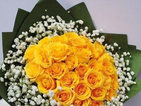 黄玫瑰的花语与象征意义（探寻黄玫瑰背后的意义）