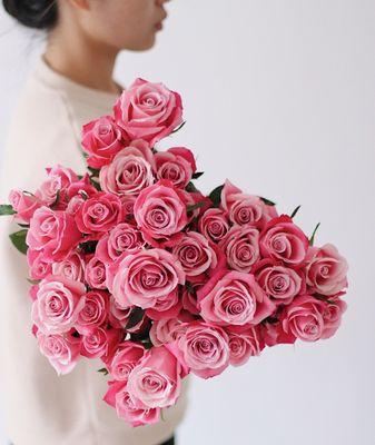 粉红色玫瑰的含义（传递浪漫与爱意的花语）