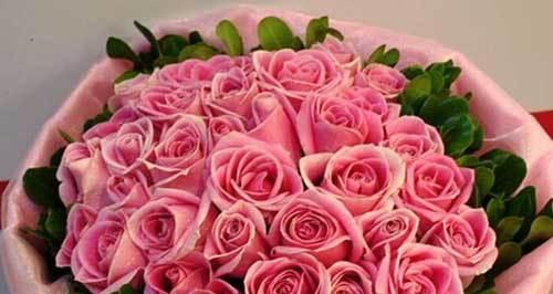 粉玫瑰的花语与寓意（浪漫、感性和美丽）