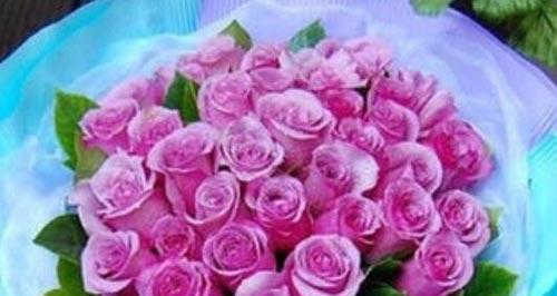 粉红色玫瑰花语（传递爱情与温柔）