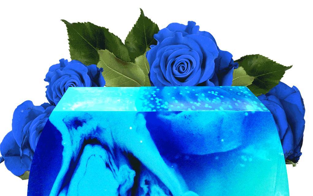 深度解析蓝色玫瑰花语（这种鲜花所代表的意义与传说）