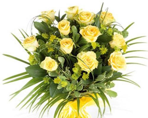 女人收到黄玫瑰的含义（揭秘黄玫瑰的六种代表意义）