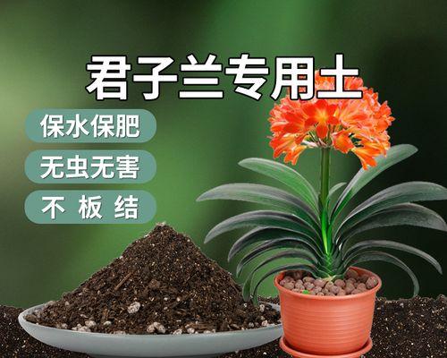 如何种植健康美丽的丁香花（丁香花种植时间与方法，让您在春季赏花更美）