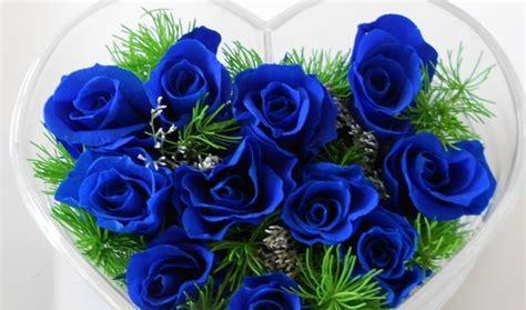 蓝玫瑰的象征意义（探寻蓝玫瑰的神秘与美丽）
