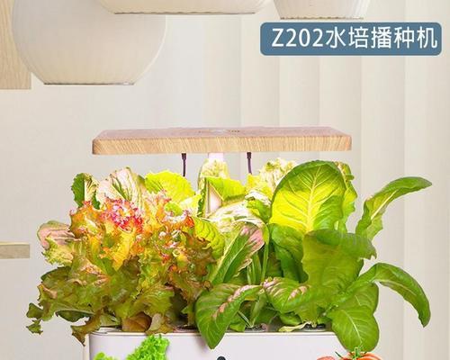 无土种植，让花开得更美（无土种植的优势和技巧）