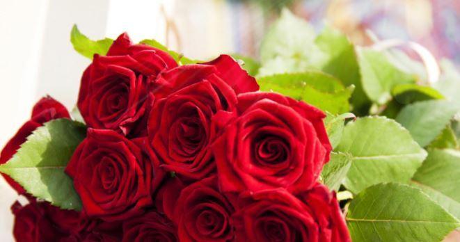 浪漫情怀——粉红玫瑰花语（探秘粉红玫瑰的世界、传承玫瑰花语的文化）
