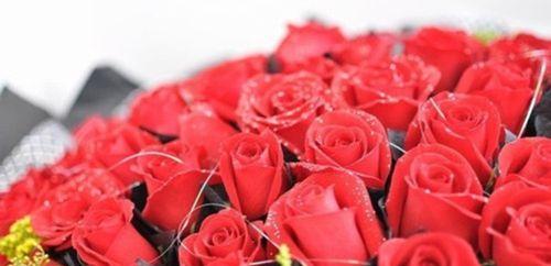 浪漫情怀——粉红玫瑰花语（探秘粉红玫瑰的世界、传承玫瑰花语的文化）