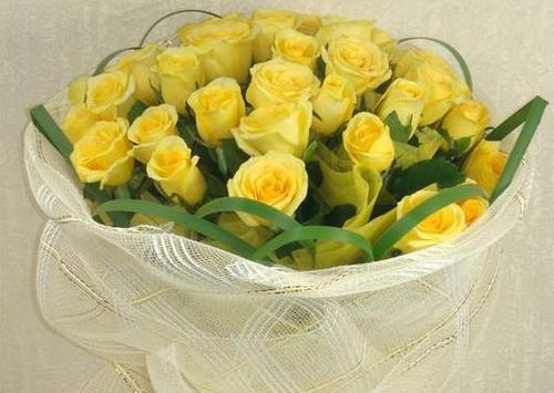黄玫瑰的花语（花语传情，黄玫瑰代表意义大揭秘）