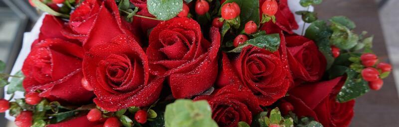 19朵玫瑰花的花语（探寻玫瑰花的意义与象征）
