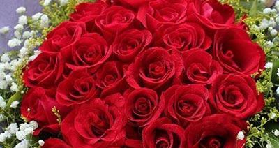 红玫瑰的意义与象征（探究红玫瑰的历史、文化和表达方式）