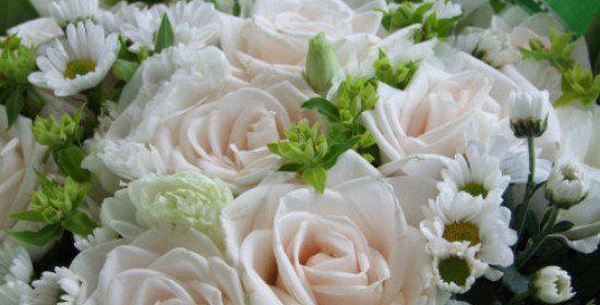 寓意高贵、美丽的白玫瑰（白玫瑰的花语和传说）