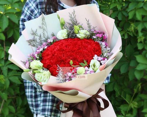 红色康乃馨的花语和寓意（表达热爱和敬意，唤醒力量和激情）