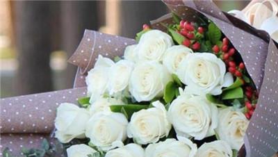 白玫瑰的花语（传递着爱和祝福的花朵）